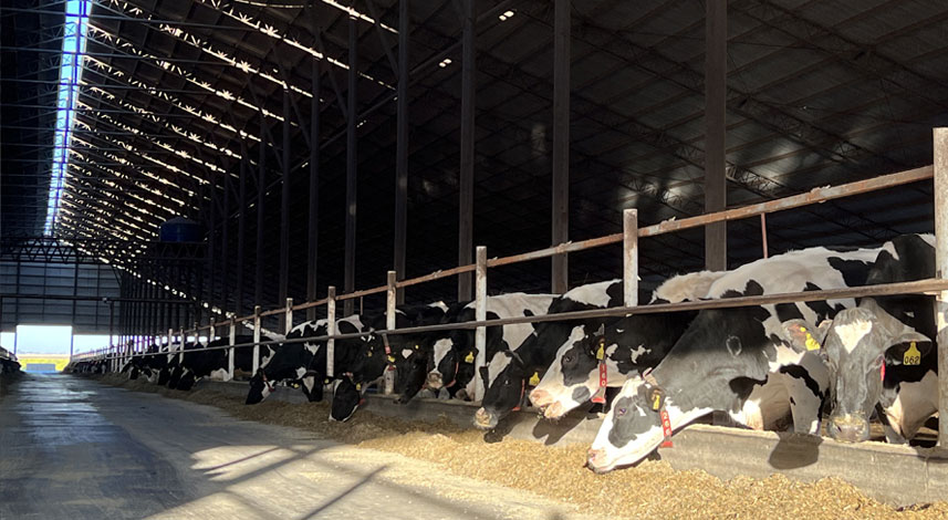 Montechiari Agroindustria Monte Maiz
